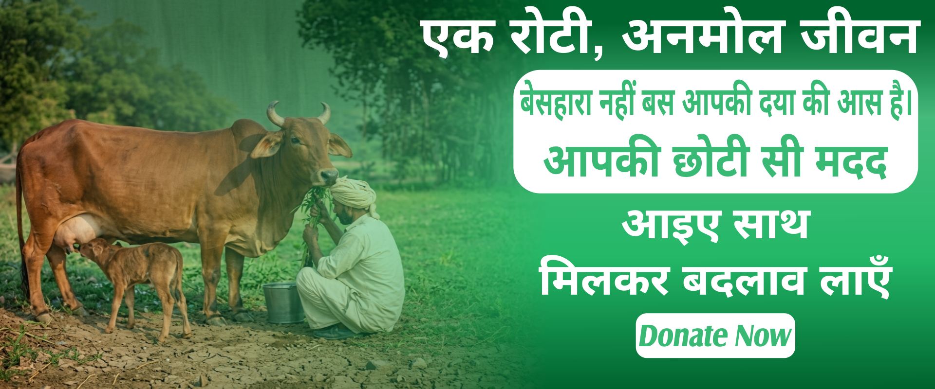 Braj Ballabh Sewa Samiti